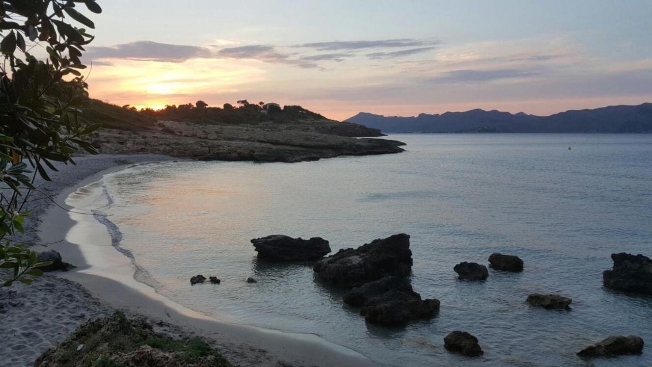 Pegasus Landsted Alcudia (Mallorca)